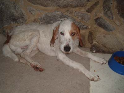 Tufo